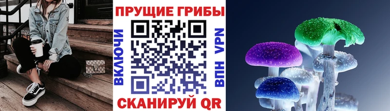 Псилоцибиновые грибы GOLDEN TEACHER  Купить  Муравленко 