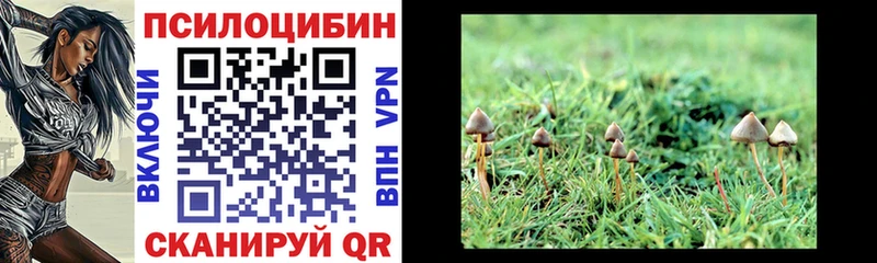 Псилоцибиновые грибы ЛСД Муравленко